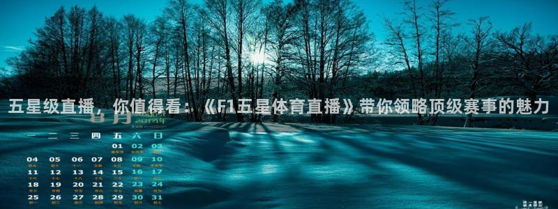 五星级直播，你值得看：《F1五星体育直播》带你领略顶级赛事的魅力